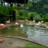 fotografía de Zoo de Santillana del Mar(Cantabria)