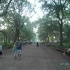 fotografía de Central Park