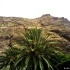 fotografía de Tenerife